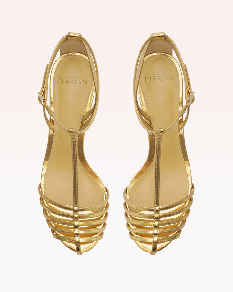 Judy 60 Oro