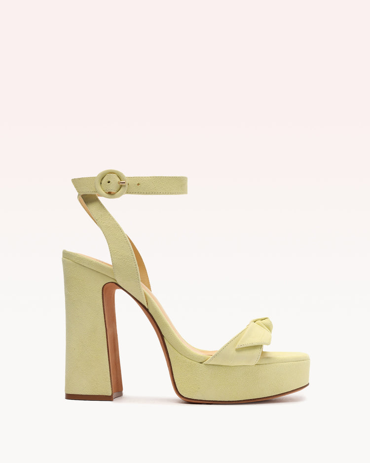 Clarita Curve 120 Daisy