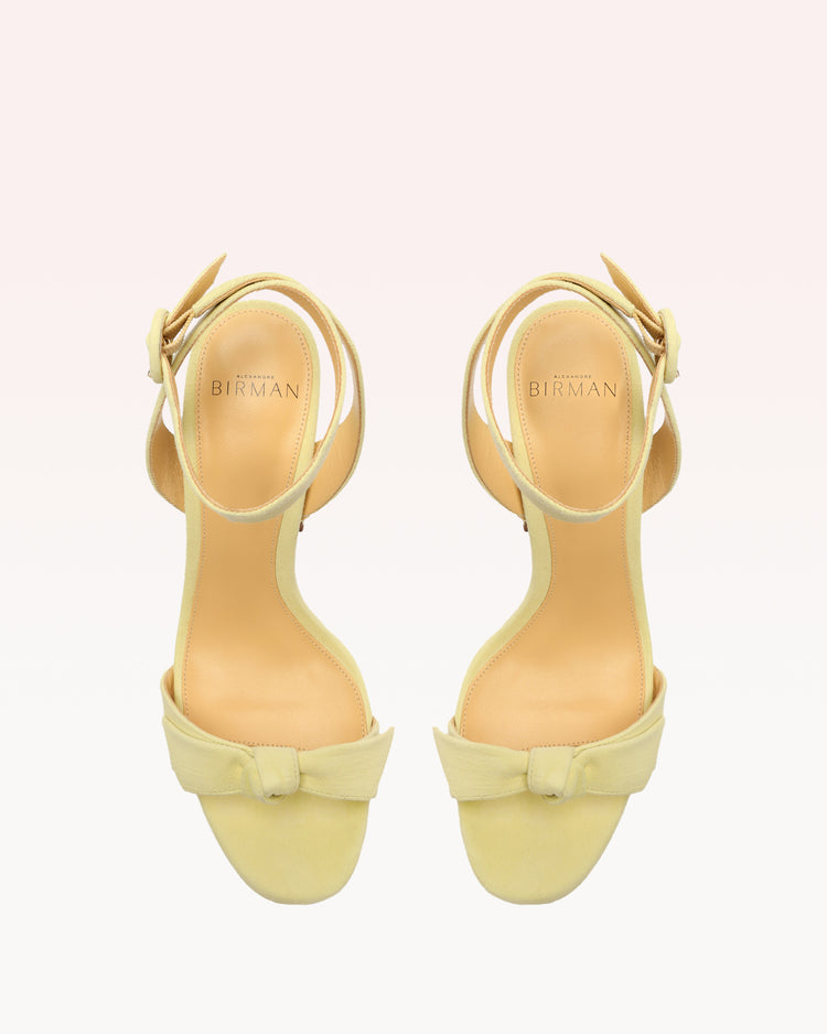Clarita Curve 120 Daisy