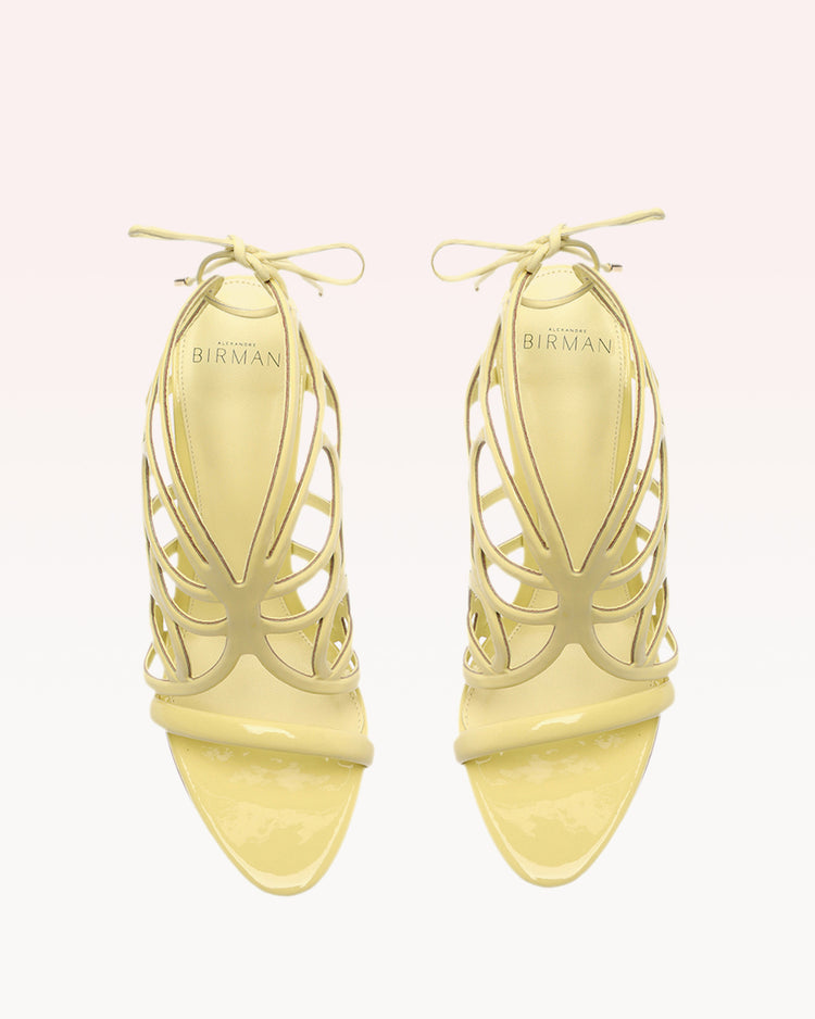 Buffy 100 Daisy Sandals Resort 23
