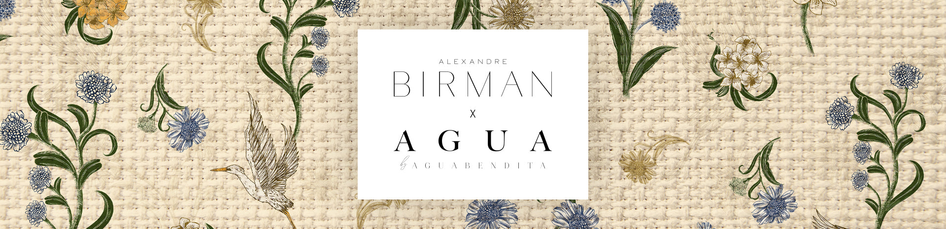 Alexandre Birman & Agua Bendita