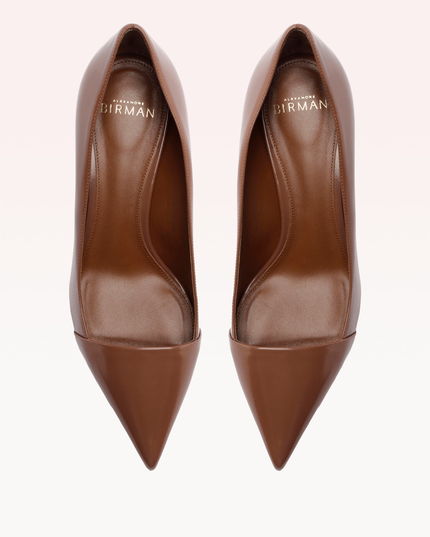 Minerva Pump 60 Espresso Pumps R/26