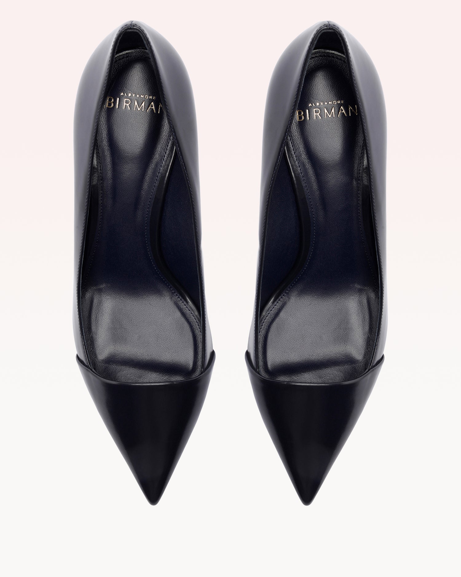 Minerva Pump 60 Oceana Pumps R/26