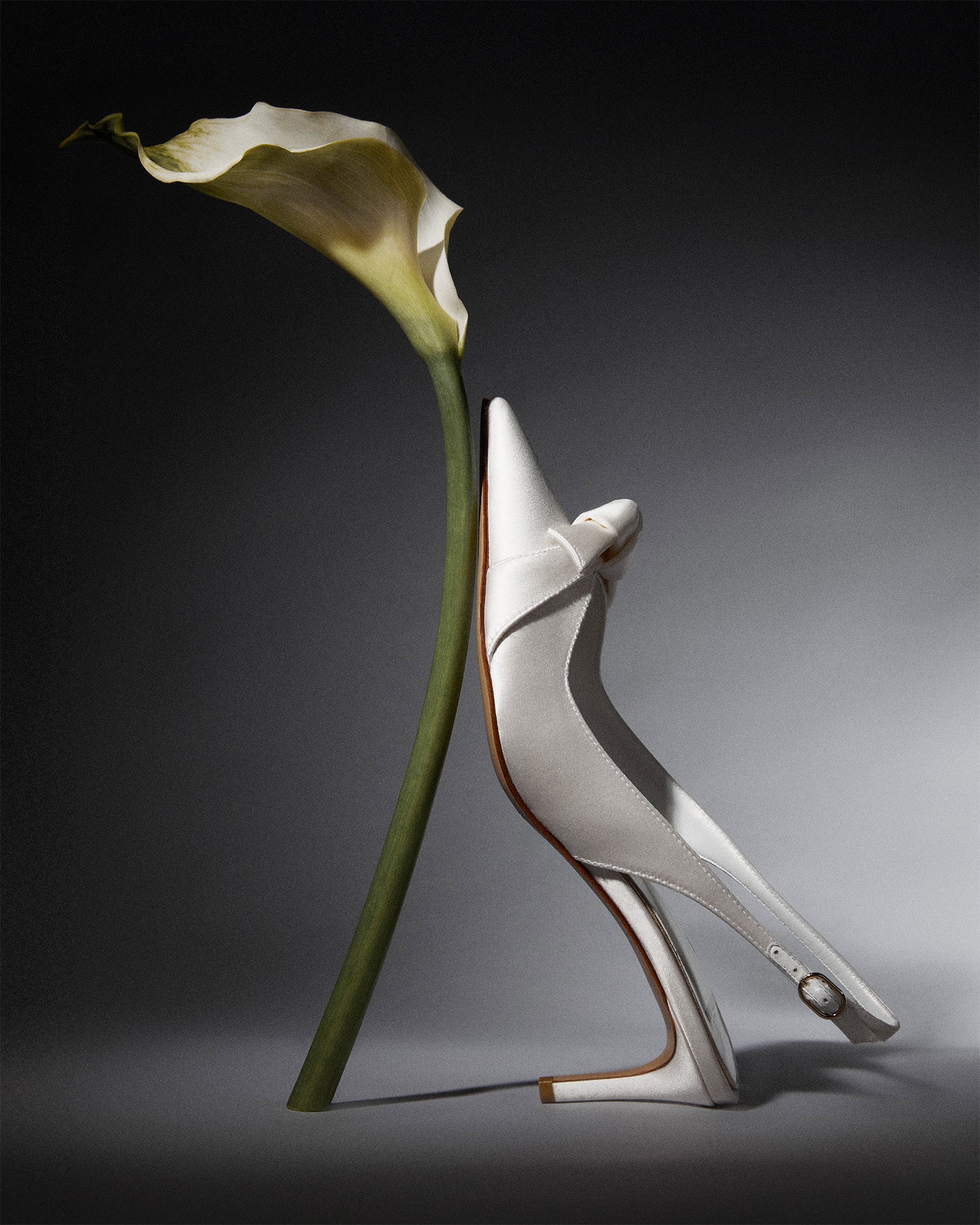 Clarita Classic Slingback 60 Bianco Pumps BRIDAL 25