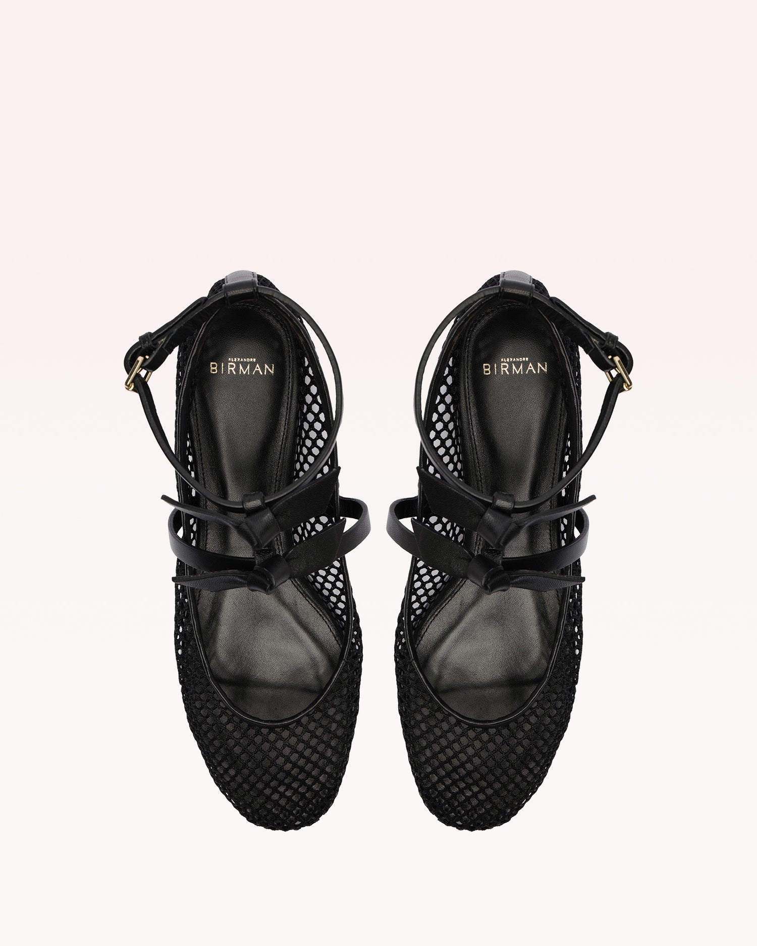 Slim Clarita Ballet Mesh Black Flats S/25