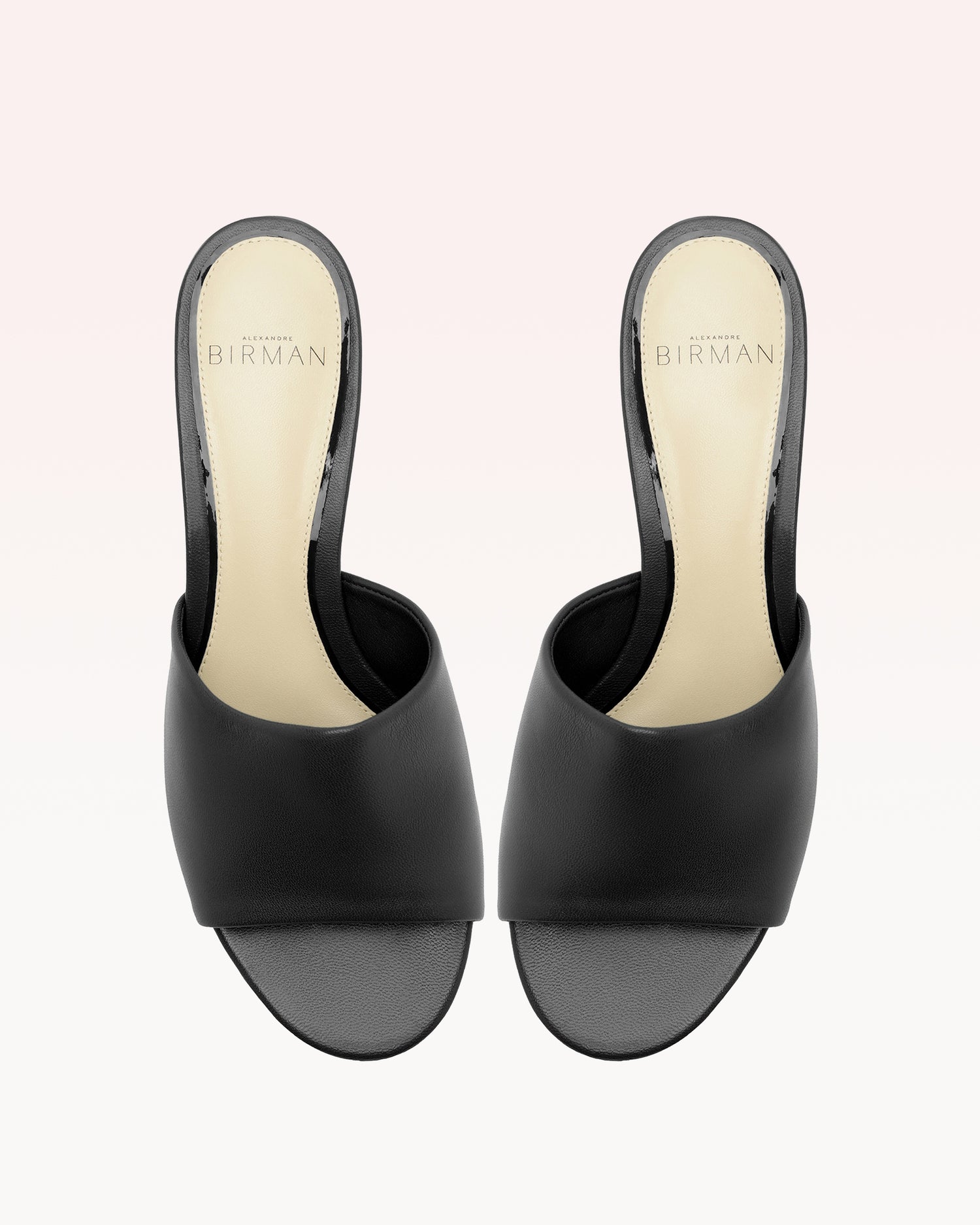 Gisel Mule Black Sandals F/25