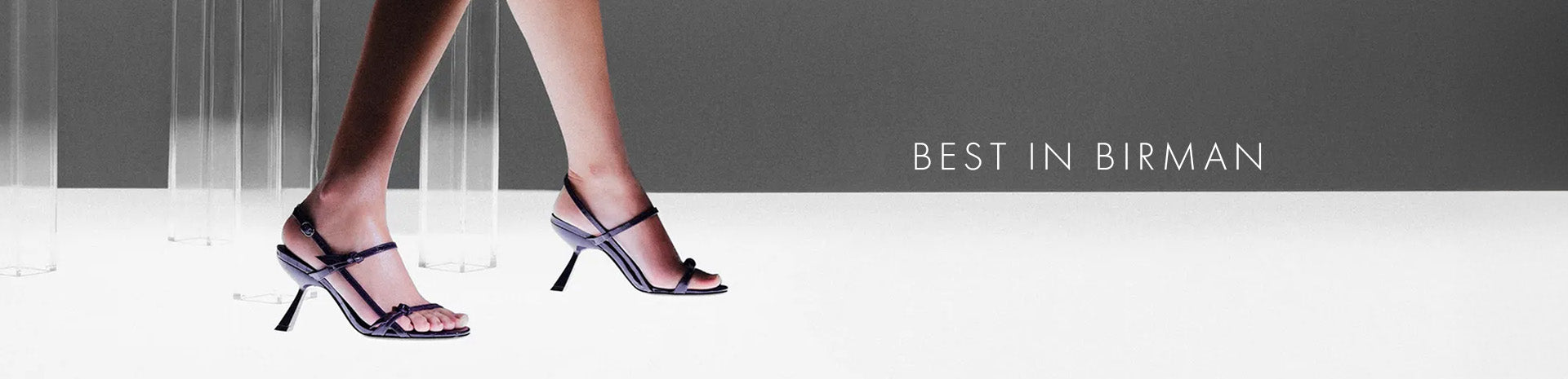 Best in Birman