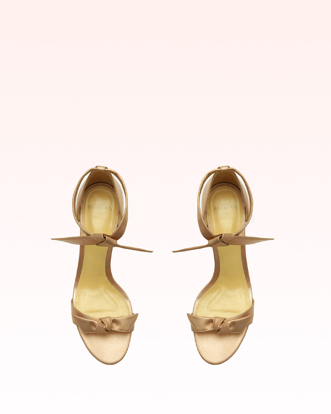 Classy for Women - SOLES Champagne Flats - SOLES - SOLES Online