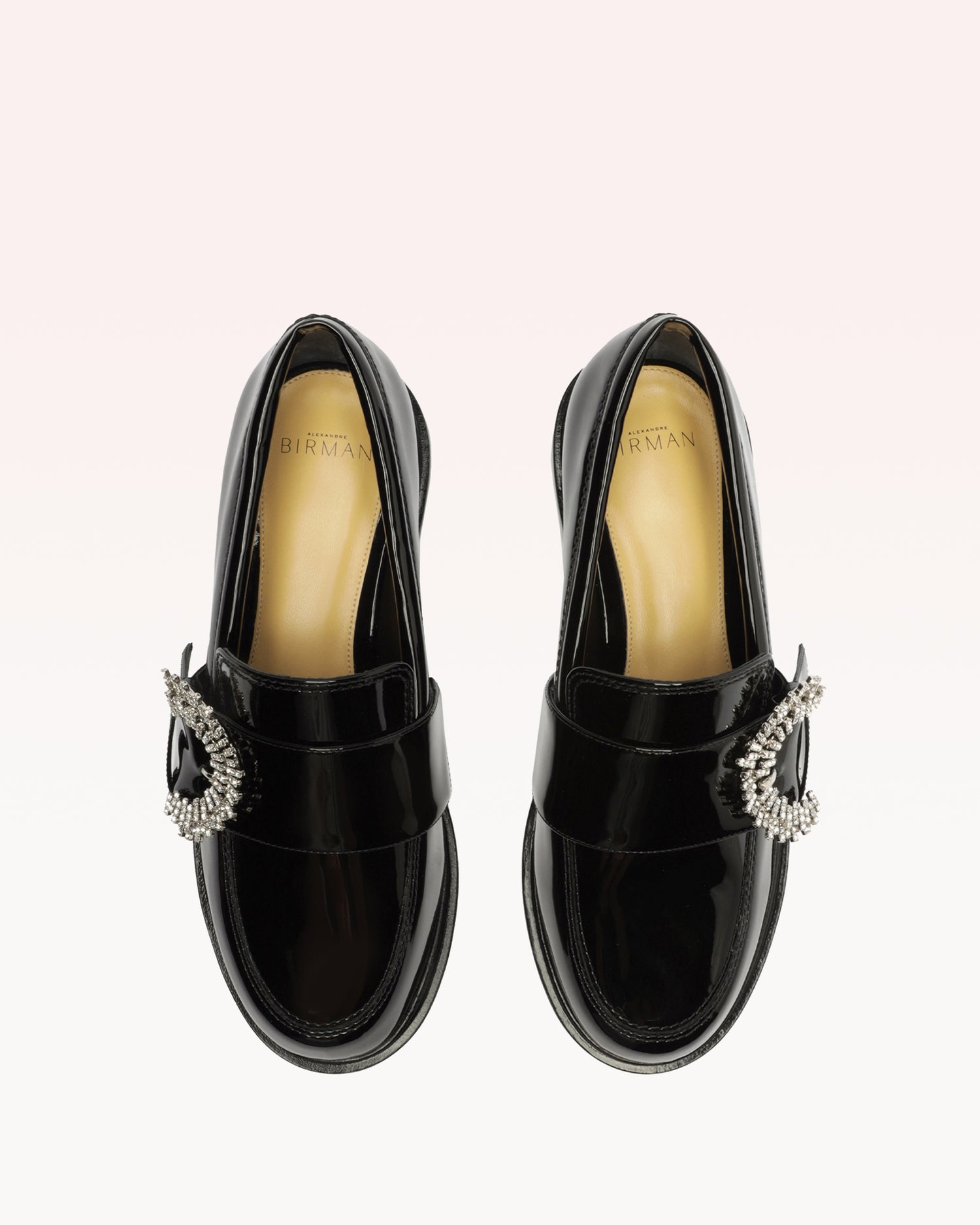 Veronika Loafer Black Loafers PRE FALL 23   