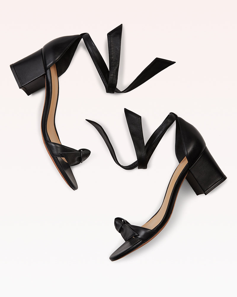 Designer Sandals For Women Clarita Block 60 Black Alexandre Birman